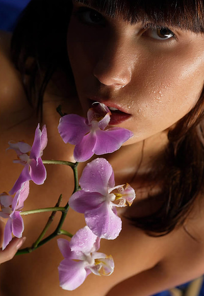 Nata in Orchid Night from Mpl Studios