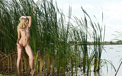 Sarah in Tall Grasses from Mpl Studios