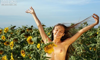 Olga in Sunflowers from Amour Angels