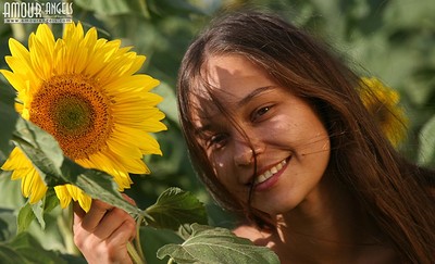 Olga in Sunflowers from Amour Angels
