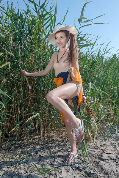 Hrizantema in Cattails from Erotic Beauty