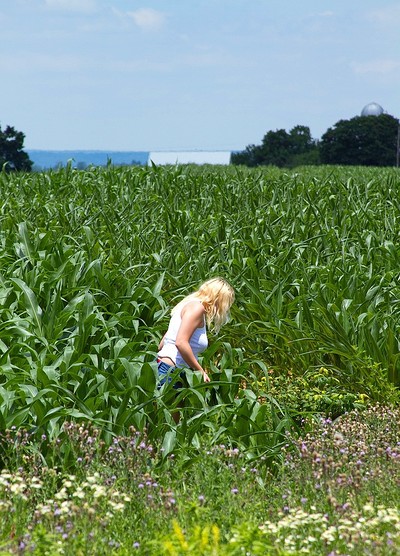Jeannine Hansen in Girls Of The Corn from Cosmid