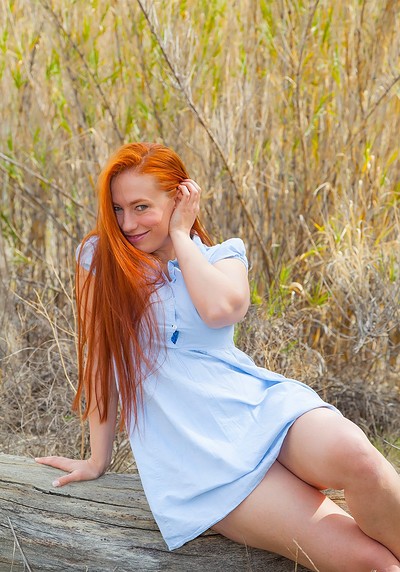 Titania in Introducing Titania from Cosmid