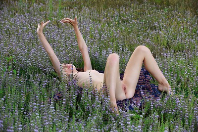 Agatha Ann in Lavender from Metart