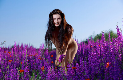 Exquisite brunette poses her delightful pale body in the lavender field