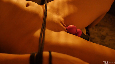 Natasha M in Bound In Pleasure 1 from The Life Erotic