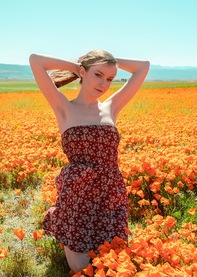 Emily Bloom in Poppies from The Emily Bloom