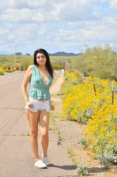 Leda in The Teen Teaser from Ftv Girls