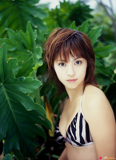 Mayuko Iwasa in Ambush from All Gravure