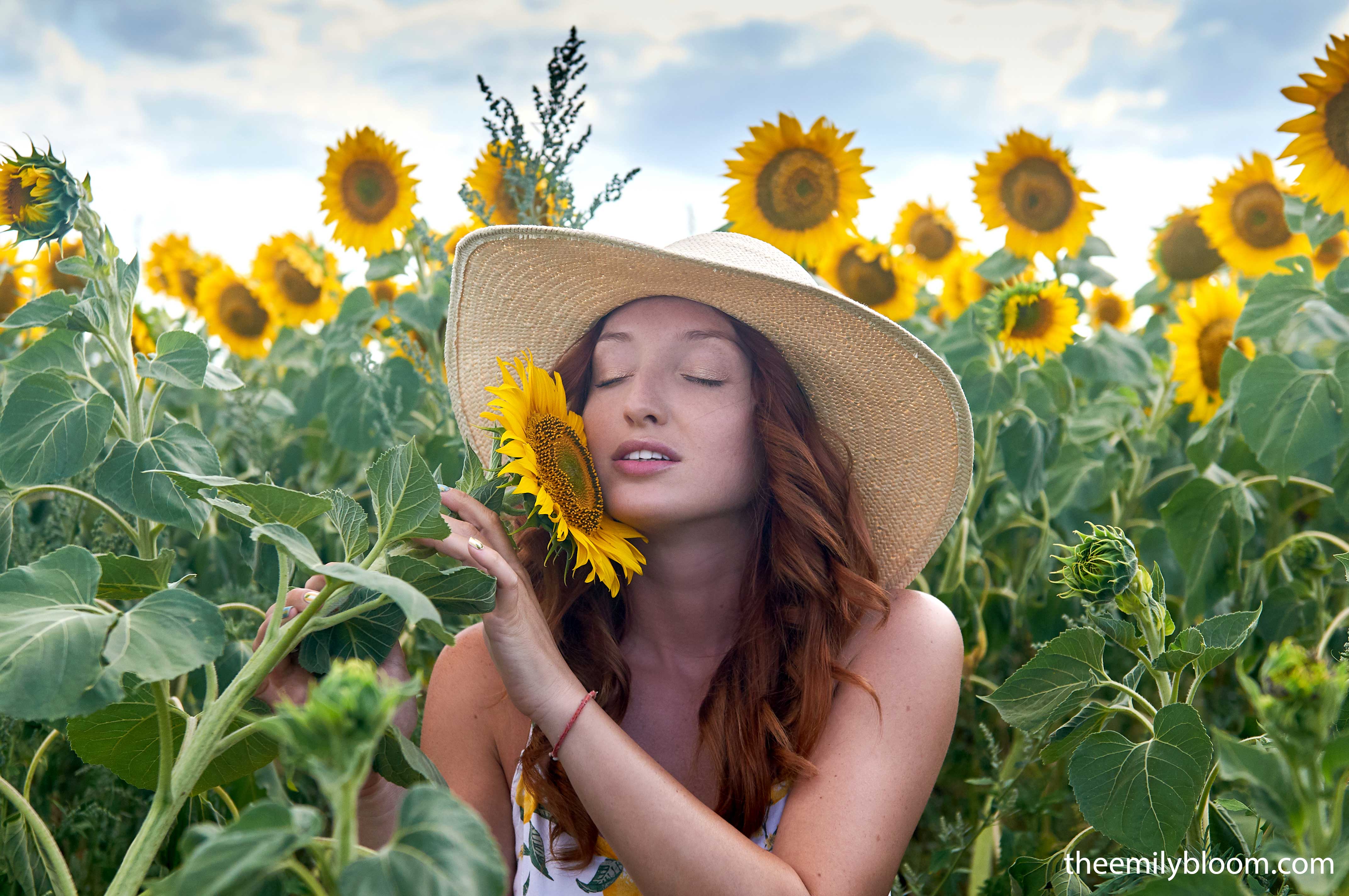 Red Fox in The Emily Bloom set Sunflower
