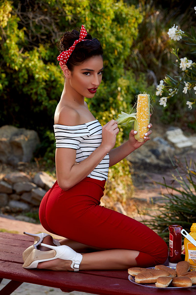 Emily Willis in Retro Picnic from Holly Randall