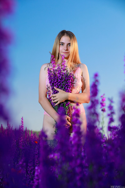 Dakota Pink in Lavender Fields from Metart