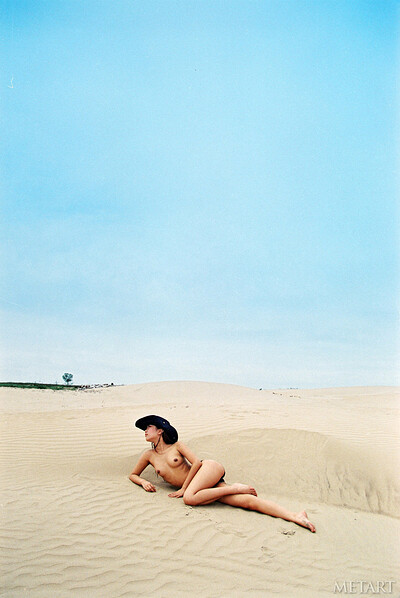 Wang Wei in New Chinese Model Wang Wei from Met Art