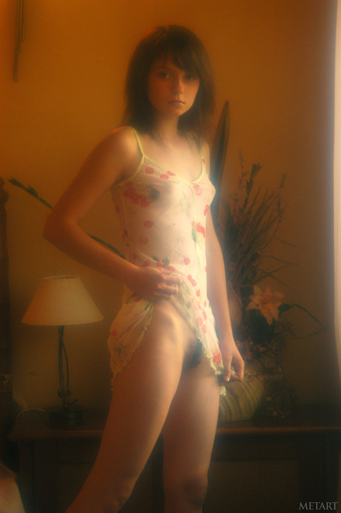 Anna S in Met Art set Memoir