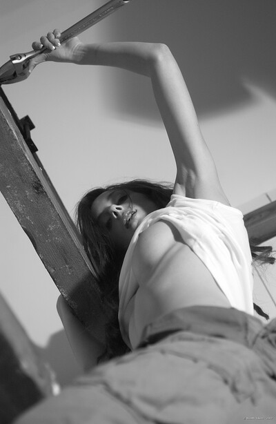 Tori in Spanner from Breathtakers
