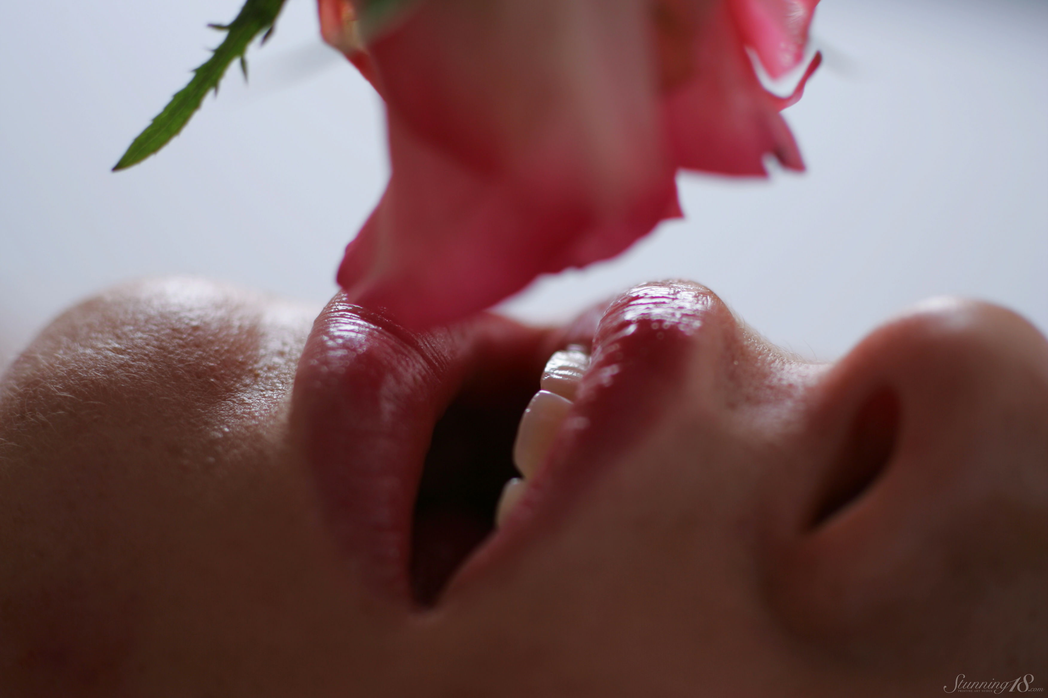 Sasha K in Stunning 18 set I Am Drowning In Flowers