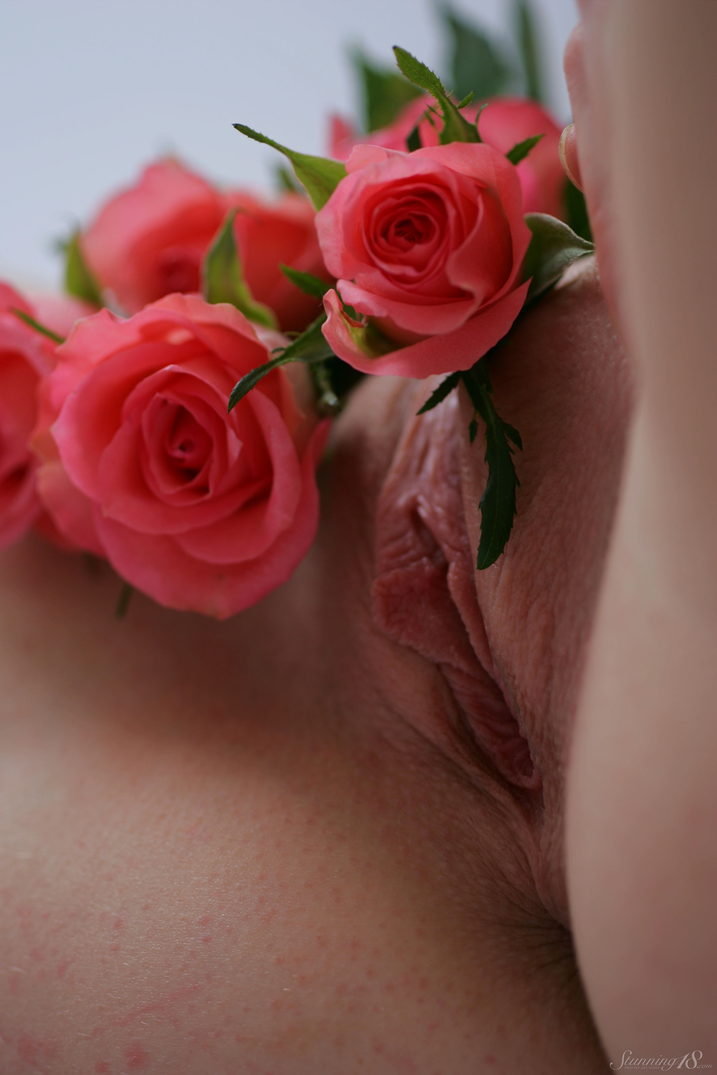 Sasha K in Stunning 18 set I Am Drowning In Flowers