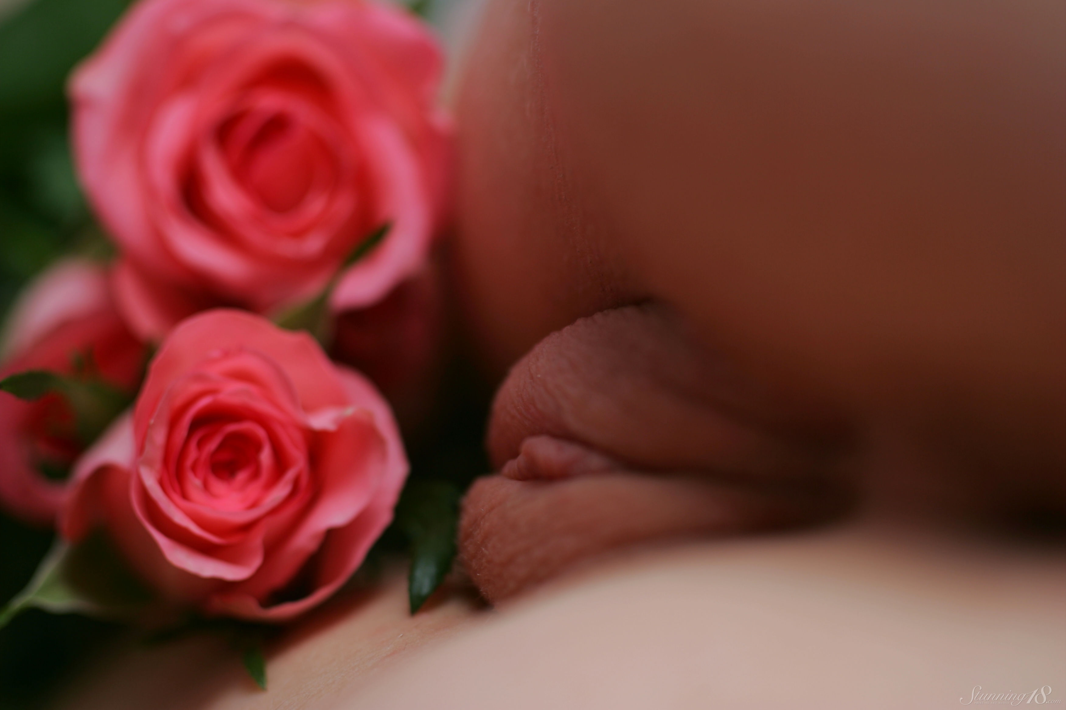 Sasha K in Stunning 18 set I Am Drowning In Flowers