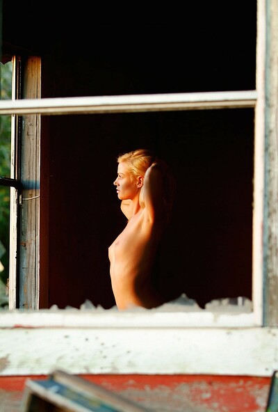 Taylor in set #2559 from ATK Premium
