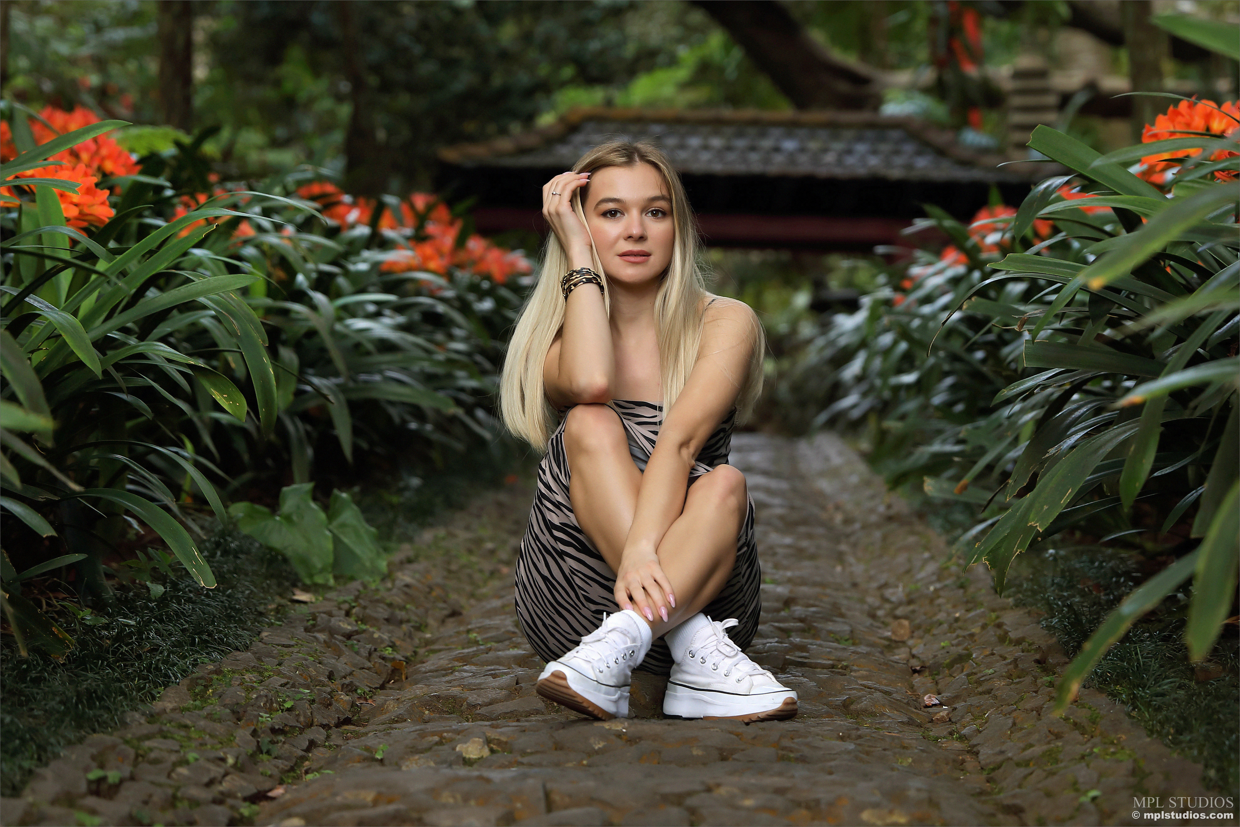 Stefani in MPL Studios set Postcard from Funchal