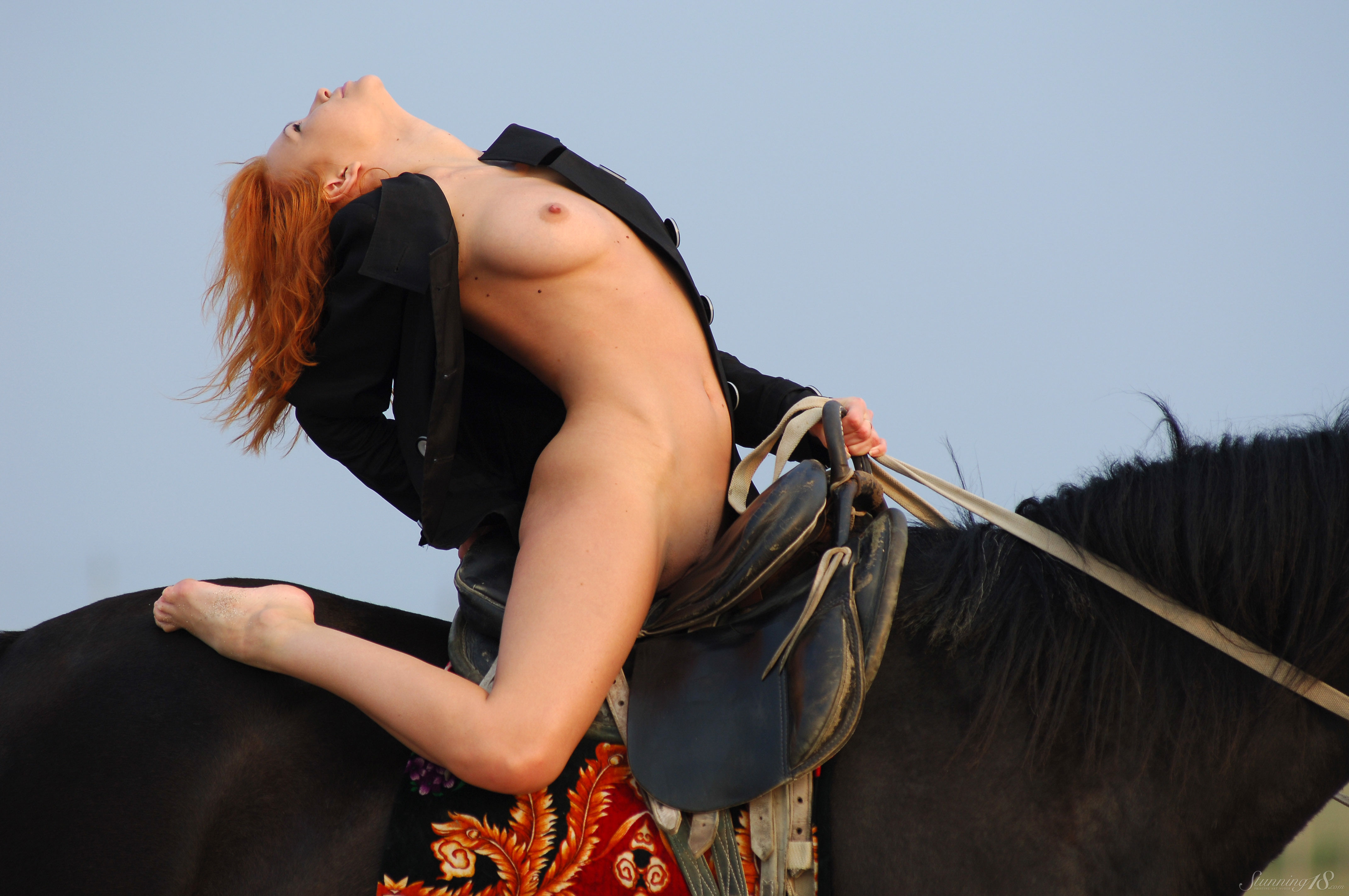 Euphrosyne E in Stunning 18 set Euphorosyne A Horse Ride