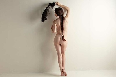 Penni in Black Feather from Nude Muse