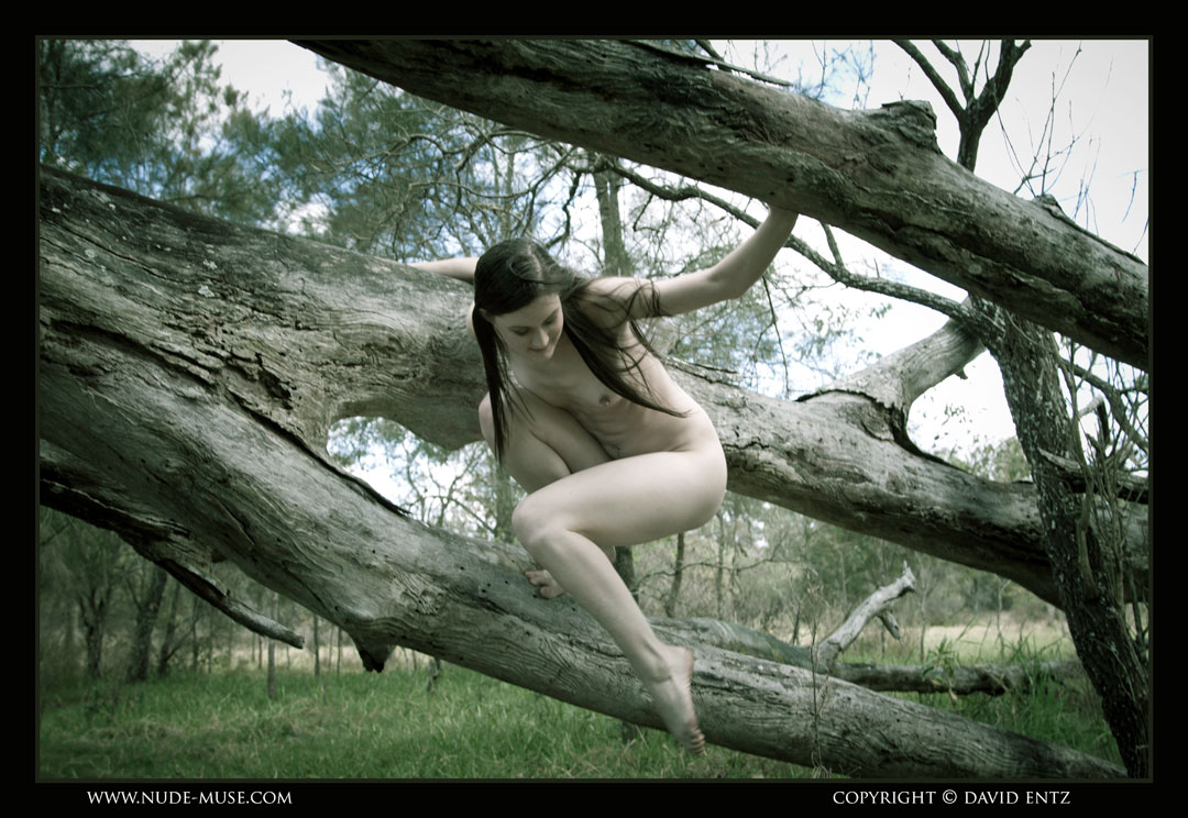 Angela Nude in Fallen Tree - Free Nude Muse Picture Gallery at Elite Babes