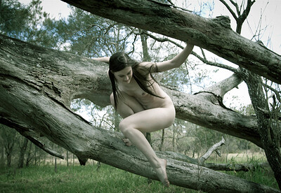 Angela in Fallen Tree from Nude Muse