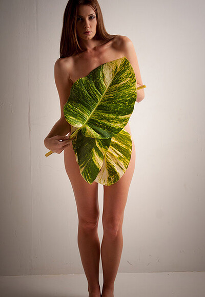 Beautiful Sindy displays her amazing curves decorated with bikini tan lines as she poses with large leaves
