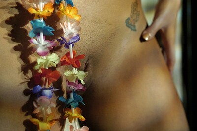 Lucky in Carioca from Louis de Mirabert