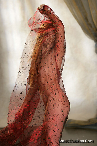 Rissi in Shield Of Fabric from Bare Maidens