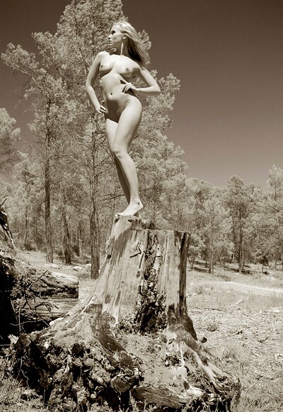 Michelle in In The Woods from Gallery Carre