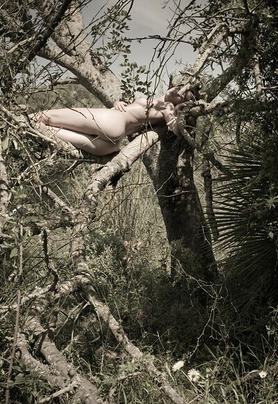 Amy in Sleeping In A Tree from Gallery Carre
