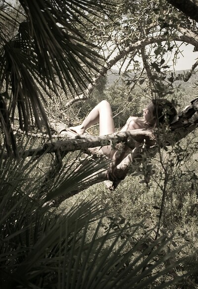 Amy in Sleeping In A Tree from Gallery Carre