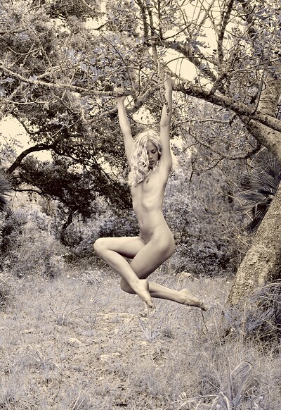 Daphnee in Trees from Gallery Carre