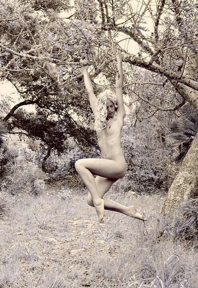 Daphnee in Trees from Gallery Carre