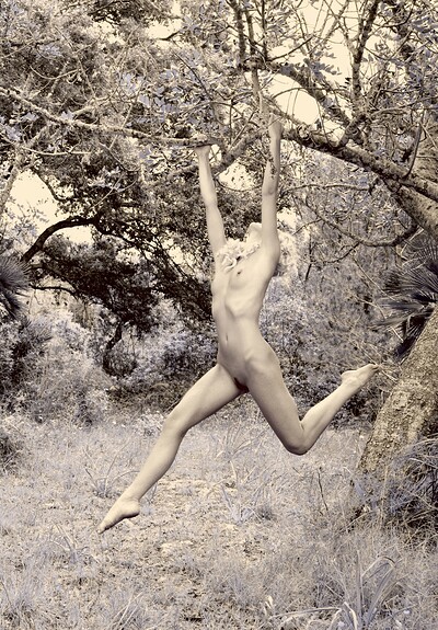 Daphnee in Trees from Gallery Carre