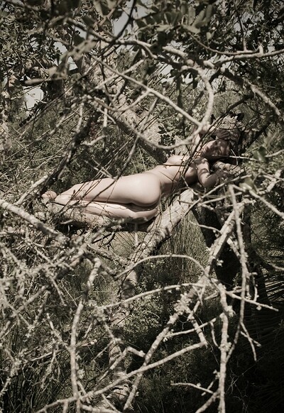 Amy in Iin The Tree from Gallery Carre