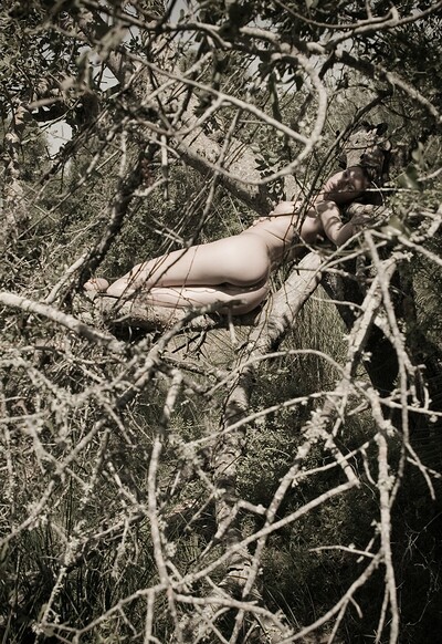 Amy in Iin The Tree from Gallery Carre