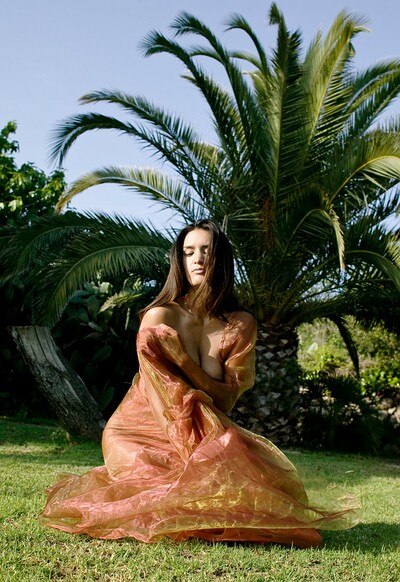 Desiree in 7 Veil Dance from Gallery Carre