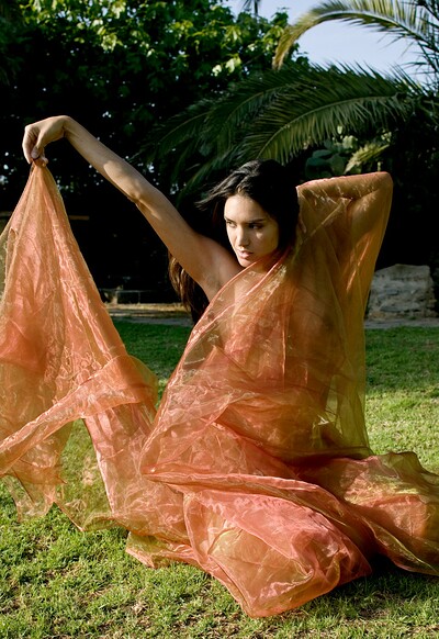 Desiree in 7 Veil Dance from Gallery Carre