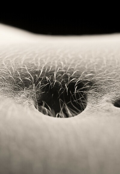 Josephine in Belly Button from Gallery Carre