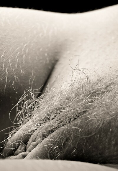 Josephine in Belly Button from Gallery Carre