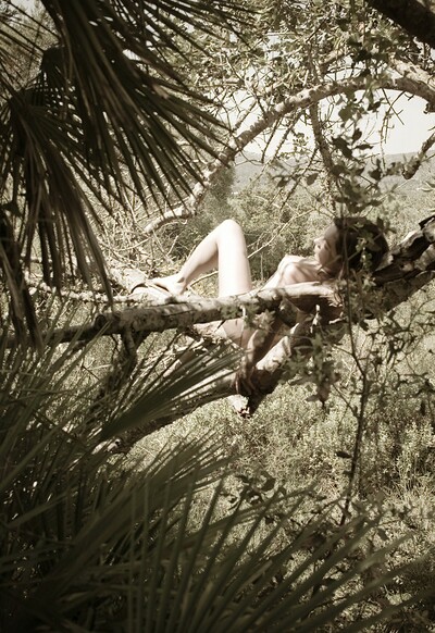 Amy in Sleeping In A Tree from Gallery Carre