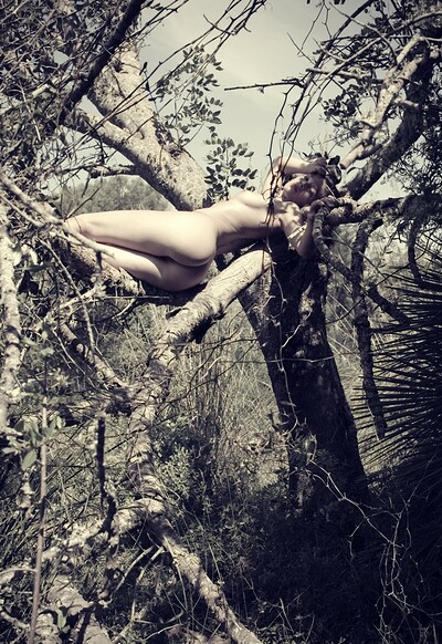 Amy in Sleeping In A Tree from Gallery Carre