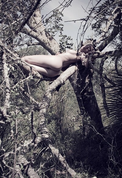 Amy in Sleeping In A Tree from Gallery Carre