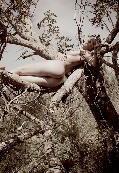 Amy in Sleeping In A Tree from Gallery Carre