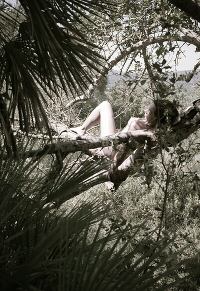 Amy in Sleeping In A Tree from Gallery Carre