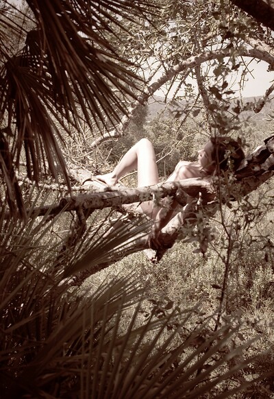 Amy in Sleeping In A Tree from Gallery Carre