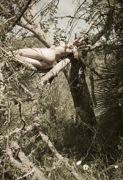Amy in Sleeping In A Tree from Gallery Carre